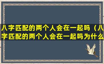 八字匹配的两个人会在一起吗（八字匹配的两个人会在一起吗为什么）