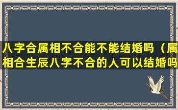 八字合属相不合能不能结婚吗（属相合生辰八字不合的人可以结婚吗）