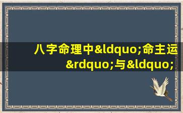 八字命理中“命主运”与“运主命”有何区别与联系