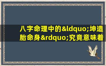 八字命理中的“坤造胎命身”究竟意味着什么