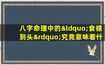 八字命理中的“食禄到头”究竟意味着什么