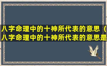 八字命理中的十神所代表的意思（八字命理中的十神所代表的意思是什么）