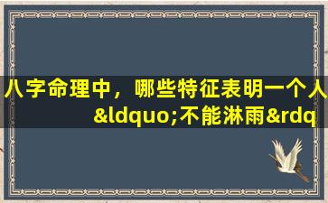 八字命理中，哪些特征表明一个人“不能淋雨”