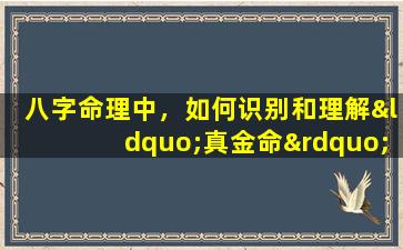 八字命理中，如何识别和理解“真金命”的人