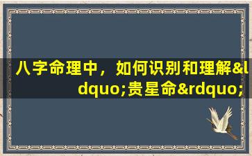 八字命理中，如何识别和理解“贵星命”