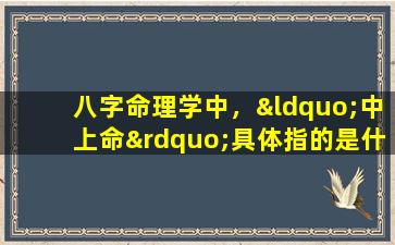 八字命理学中，“中上命”具体指的是什么