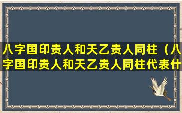 八字国印贵人和天乙贵人同柱（八字国印贵人和天乙贵人同柱代表什么）