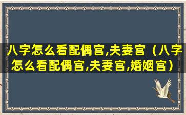 八字怎么看配偶宫,夫妻宫（八字怎么看配偶宫,夫妻宫,婚姻宫）