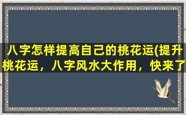 八字怎样提高自己的桃花运(提升桃花运，八字风水大作用，快来了解！)