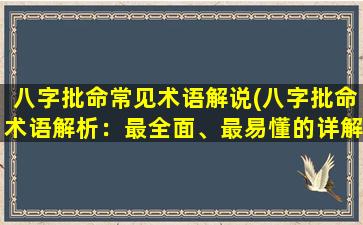 八字批命常见术语解说(八字批命术语解析：最全面、最易懂的详解)