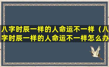 八字时辰一样的人命运不一样（八字时辰一样的人命运不一样怎么办）