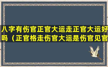 八字有伤官正官大运走正官大运好吗（正官格走伤官大运是伤官见官吗）