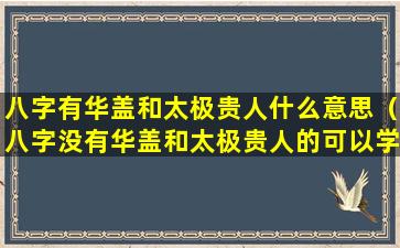 八字有华盖和太极贵人什么意思（八字没有华盖和太极贵人的可以学八字吗）