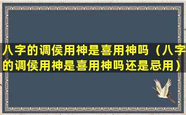 八字的调侯用神是喜用神吗（八字的调侯用神是喜用神吗还是忌用）