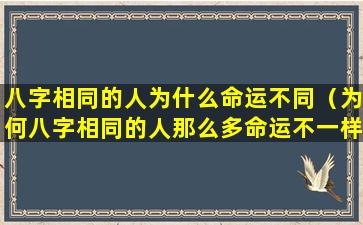 八字相同的人为什么命运不同（为何八字相同的人那么多命运不一样）