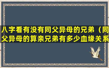 八字看有没有同父异母的兄弟（同父异母的算亲兄弟有多少血缘关系）