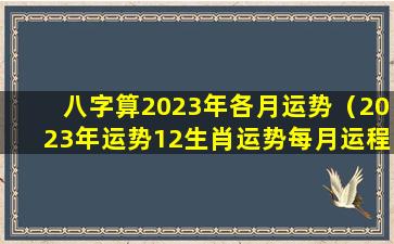 八字算2023年各月运势（2023年运势12生肖运势每月运程）