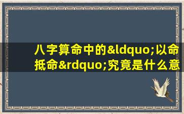 八字算命中的“以命抵命”究竟是什么意思