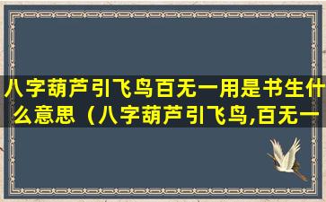 八字葫芦引飞鸟百无一用是书生什么意思（八字葫芦引飞鸟,百无一用是书生打一生肖）