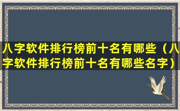 八字软件排行榜前十名有哪些（八字软件排行榜前十名有哪些名字）