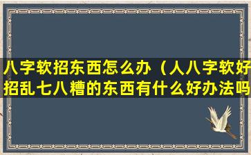 八字软招东西怎么办（人八字软好招乱七八糟的东西有什么好办法吗）