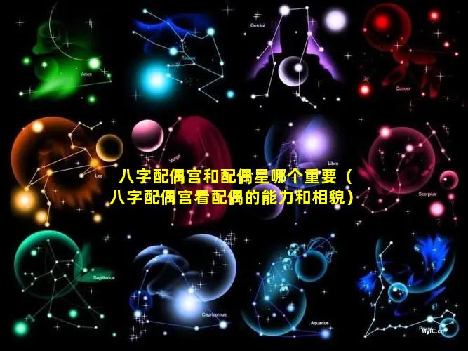 八字配偶宫和配偶星哪个重要（八字配偶宫看配偶的能力和相貌）