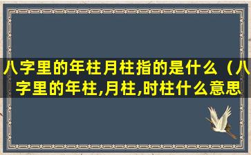 八字里的年柱月柱指的是什么（八字里的年柱,月柱,时柱什么意思）