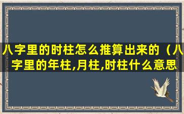 八字里的时柱怎么推算出来的（八字里的年柱,月柱,时柱什么意思）