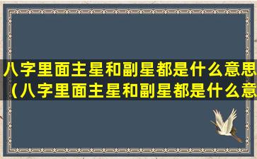 八字里面主星和副星都是什么意思（八字里面主星和副星都是什么意思啊）