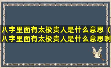 八字里面有太极贵人是什么意思（八字里面有太极贵人是什么意思啊）