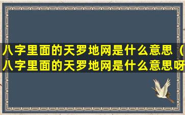 八字里面的天罗地网是什么意思（八字里面的天罗地网是什么意思呀）