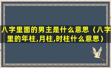 八字里面的男主是什么意思（八字里的年柱,月柱,时柱什么意思）