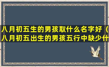 八月初五生的男孩取什么名字好（八月初五出生的男孩五行中缺少什么）