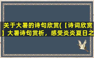 关于大暑的诗句欣赏(【诗词欣赏】大暑诗句赏析，感受炎炎夏日之美！)