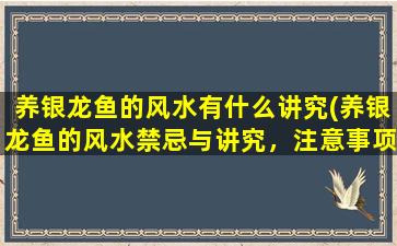 养银龙鱼的风水有什么讲究(养银龙鱼的风水禁忌与讲究，注意事项！)