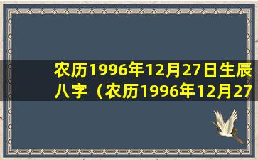 农历1996年12月27日生辰八字（农历1996年12月27日出生是什么星座）