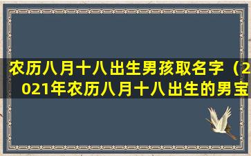 农历八月十八出生男孩取名字（2021年农历八月十八出生的男宝宝）