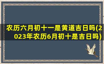 农历六月初十一是黄道吉日吗(2023年农历6月初十是吉日吗)