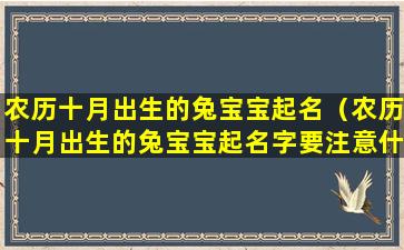 农历十月出生的兔宝宝起名（农历十月出生的兔宝宝起名字要注意什么）