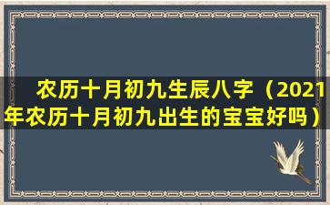 农历十月初九生辰八字（2021年农历十月初九出生的宝宝好吗）