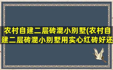 农村自建二层砖混小别墅(农村自建二层砖混小别墅用实心红砖好还是多孔红砖好)