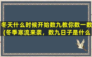 冬天什么时候开始数九教你数一数(冬季寒流来袭，数九日子是什么时候？)