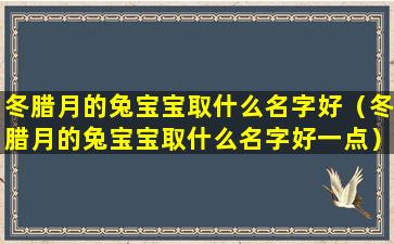 冬腊月的兔宝宝取什么名字好（冬腊月的兔宝宝取什么名字好一点）