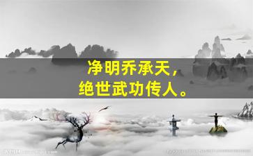 净明乔承天，绝世武功传人。