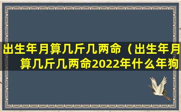 出生年月算几斤几两命（出生年月算几斤几两命2022年什么年狗年2018年什么年）