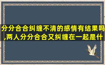 分分合合纠缠不清的感情有结果吗,两人分分合合又纠缠在一起是什么缘分