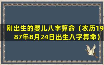 刚出生的婴儿八字算命（农历1987年8月24日出生八字算命）