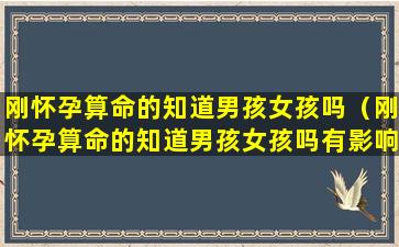 刚怀孕算命的知道男孩女孩吗（刚怀孕算命的知道男孩女孩吗有影响吗）