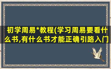 初学周易*教程(学习周易要看什么书,有什么书才能正确引路入门)