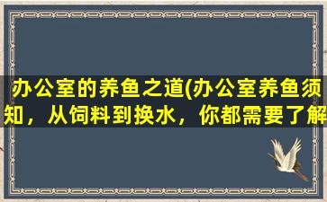 办公室的养鱼之道(办公室养鱼须知，从饲料到换水，你都需要了解！)